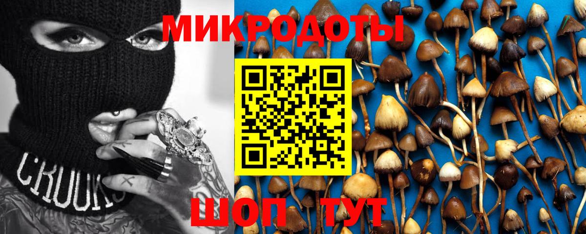 Армавир  Псилоцибиновые грибы Magic Shrooms  Галлюциногенные грибы Psilocybe  Вход с VPN 
